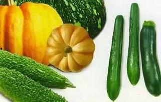 老田吃瓜,揭秘娱乐圈幕后故事