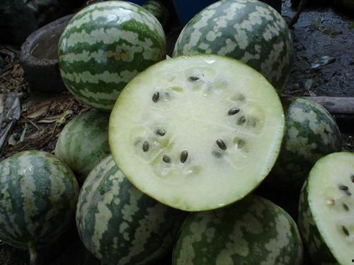 赣州小瓜怎么吃,解锁美味新体验