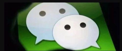 通过吃瓜加微信,揭秘社交新潮流