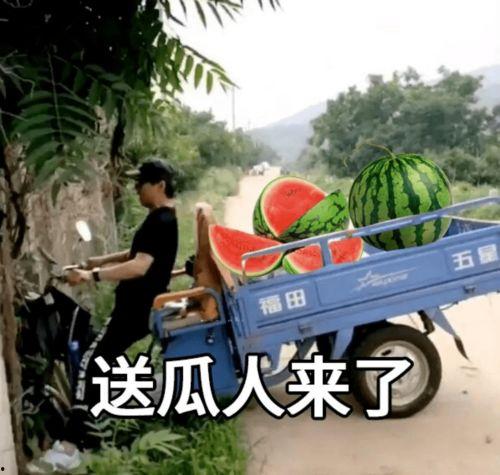 老瓜新吃文案,品味时光流转中的美食新风尚