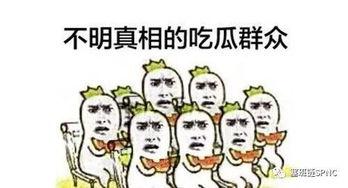 吃瓜群众看高考,吃瓜群众视角下的青春盛宴