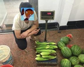 在线吃瓜到底偷了什么,在线吃瓜事件，究竟谁偷走了秘密？