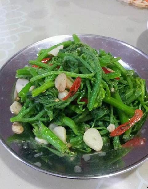 回瓜尖怎么吃,解锁美味新体验