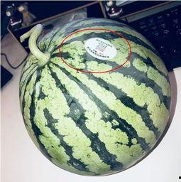 文水网红吃瓜,揭秘娱乐圈背后的秘密