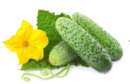 唐九九吃瓜系统,揭秘娱乐圈幕后风云