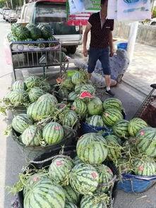 阜宁吃瓜事件真相,揭开真相背后的惊人内幕