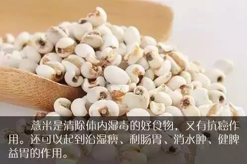吃瓜中秋节,吃瓜群众欢乐多