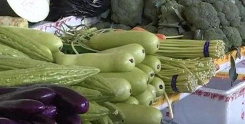 兔子吃不吃葫芦瓜