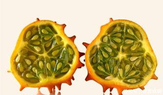 减肥可以吃刺角瓜吗,减肥期间的理想美食选择