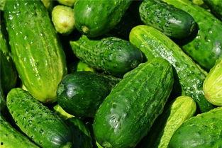 梦到邻居摘瓜吃瓜,一场梦中的摘瓜盛宴