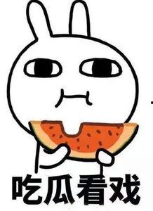 吃瓜and喝水,品味生活点滴