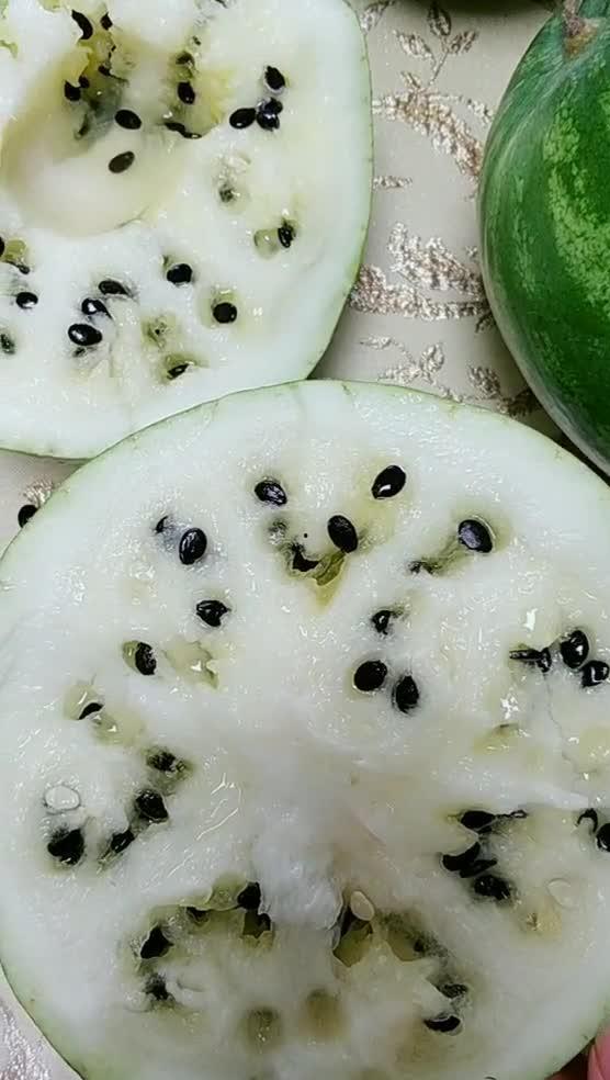 打瓜吃瓜,打瓜吃瓜，共享夏日清凉时光