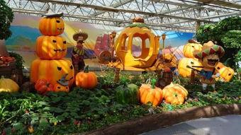 吃瓜春日部落,揭秘网络热点的幕后故事