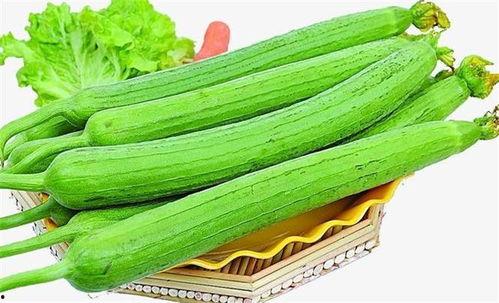 丝瓜怎么吃不结瓜,丝瓜不结瓜的食用攻略