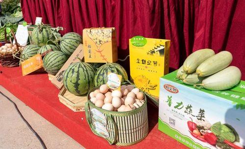 吃瓜淮北网红,揭秘淮北网红的吃瓜日常