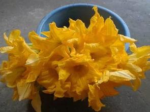 广西贺州吃瓜,探寻广西贺州的夏日美味之旅