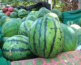 安心吃瓜看视频