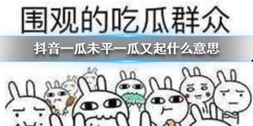 抖音吃瓜总结,揭秘网络热点背后的真相与笑料