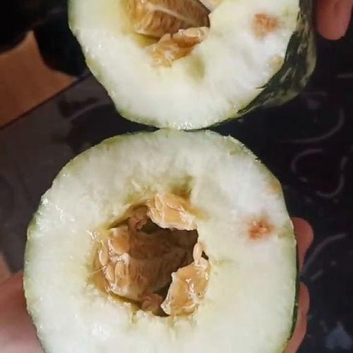 吃瓜系统说我,网络舆论场中的新势力