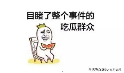 每天就是疯狂吃瓜