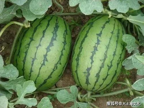 南京爬楼吃瓜事件,高空惊险一幕引发社会关注