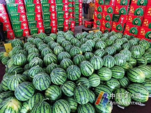 夏天标准的吃瓜,缤纷吃瓜指南