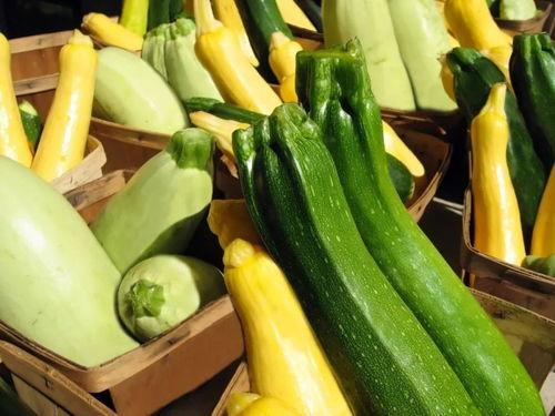 吃瓜 VTber,网络红人的幕后故事与影响力  第2张