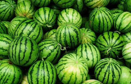 老墨带你吃瓜,尽享舌尖上的盛宴