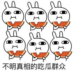 哈宝吃瓜群众,揭秘娱乐圈幕后风云 第2张 哈宝吃瓜群众,揭秘娱乐圈幕后风云 第2张