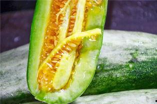 kx吃瓜版,揭秘娱乐圈幕后真相,带你领略明星们的真实生活 第3张 kx吃瓜版,揭秘娱乐圈幕后真相,带你领略明星们的真实生活 第3张