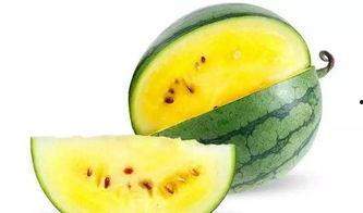 瓜瓜吃瓜配乐 第3张 瓜瓜吃瓜配乐 第3张