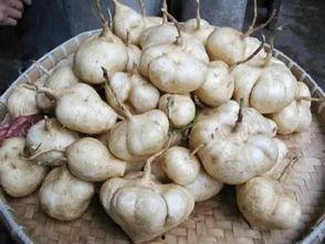 从吃瓜到吃土,揭秘网络热词背后的社会现象  第3张