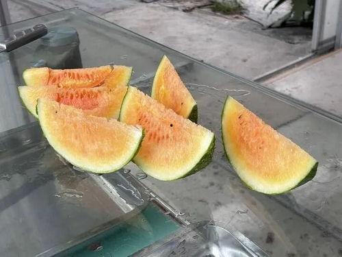 小雨农村记录吃瓜